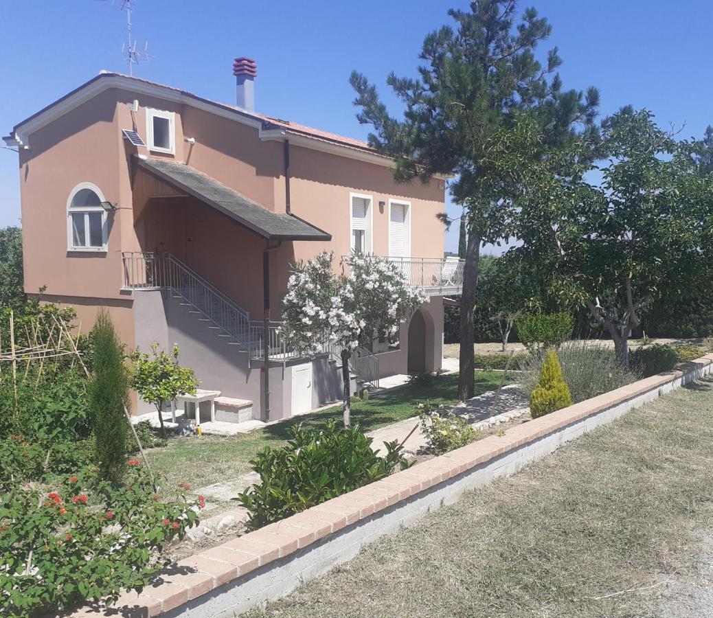 Villa Nonno Nicola Монтенеро ди Бизача Екстериор снимка