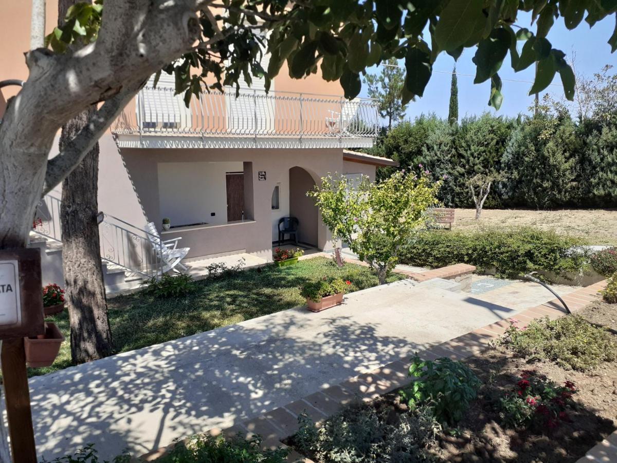 Villa Nonno Nicola Монтенеро ди Бизача Екстериор снимка