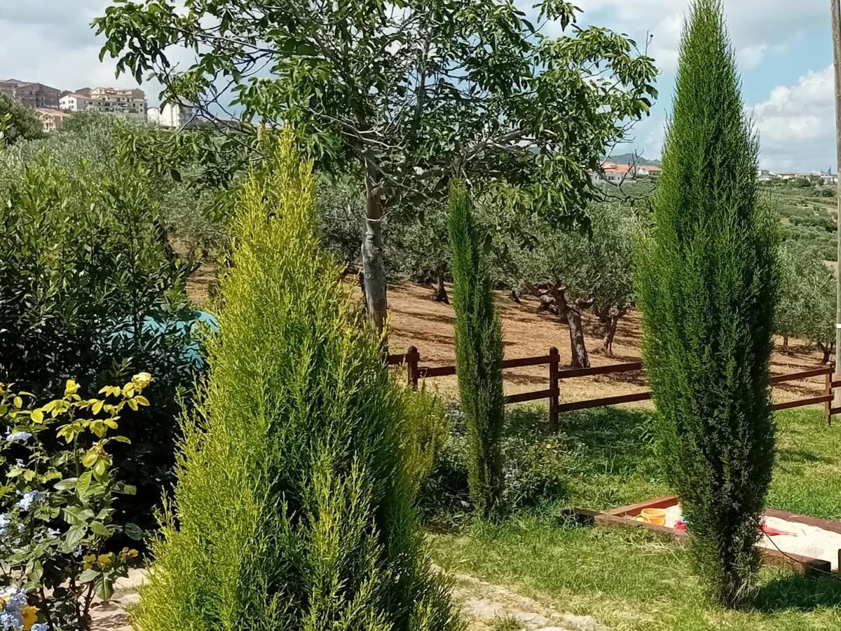 Villa Nonno Nicola Монтенеро ди Бизача Екстериор снимка