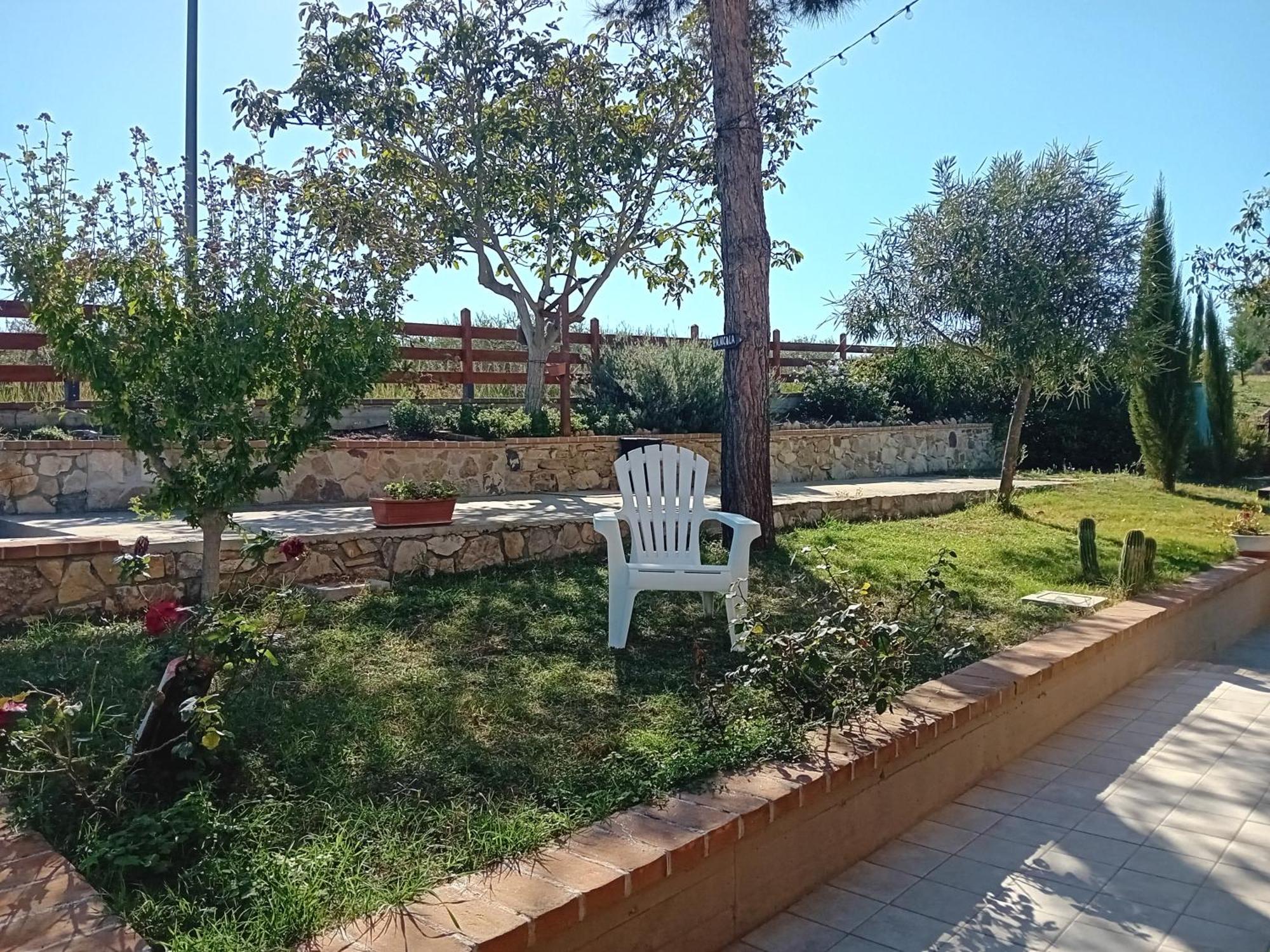 Villa Nonno Nicola Монтенеро ди Бизача Екстериор снимка